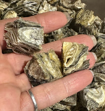 Load image into Gallery viewer, Fish Jerky Cubes (small)