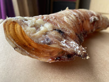Load image into Gallery viewer, Large Buffalo Trachea x 1