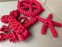 Load image into Gallery viewer, Rope Toy