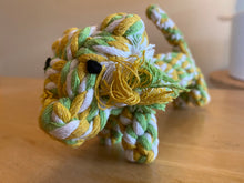 Load image into Gallery viewer, Rope Toy