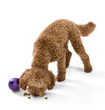 Load image into Gallery viewer, West Paw Zogoflex Echo Rumbl