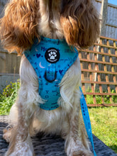 Load image into Gallery viewer, Love You to the Moon & Back Harness (teal)
