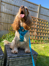 Load image into Gallery viewer, Love You to the Moon & Back Harness (teal)