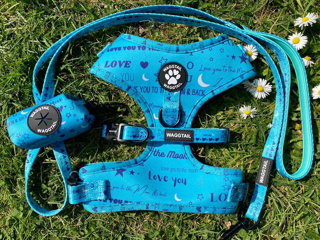 Love You to the Moon & Back Harness Set (teal)