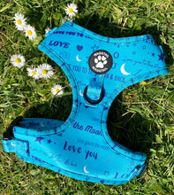 Load image into Gallery viewer, Love You to the Moon & Back Harness (teal)