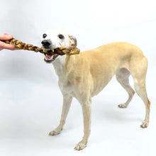 Load image into Gallery viewer, Braided Pizzle 12 cm