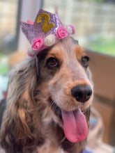 Load image into Gallery viewer, Birthday Princess Crown