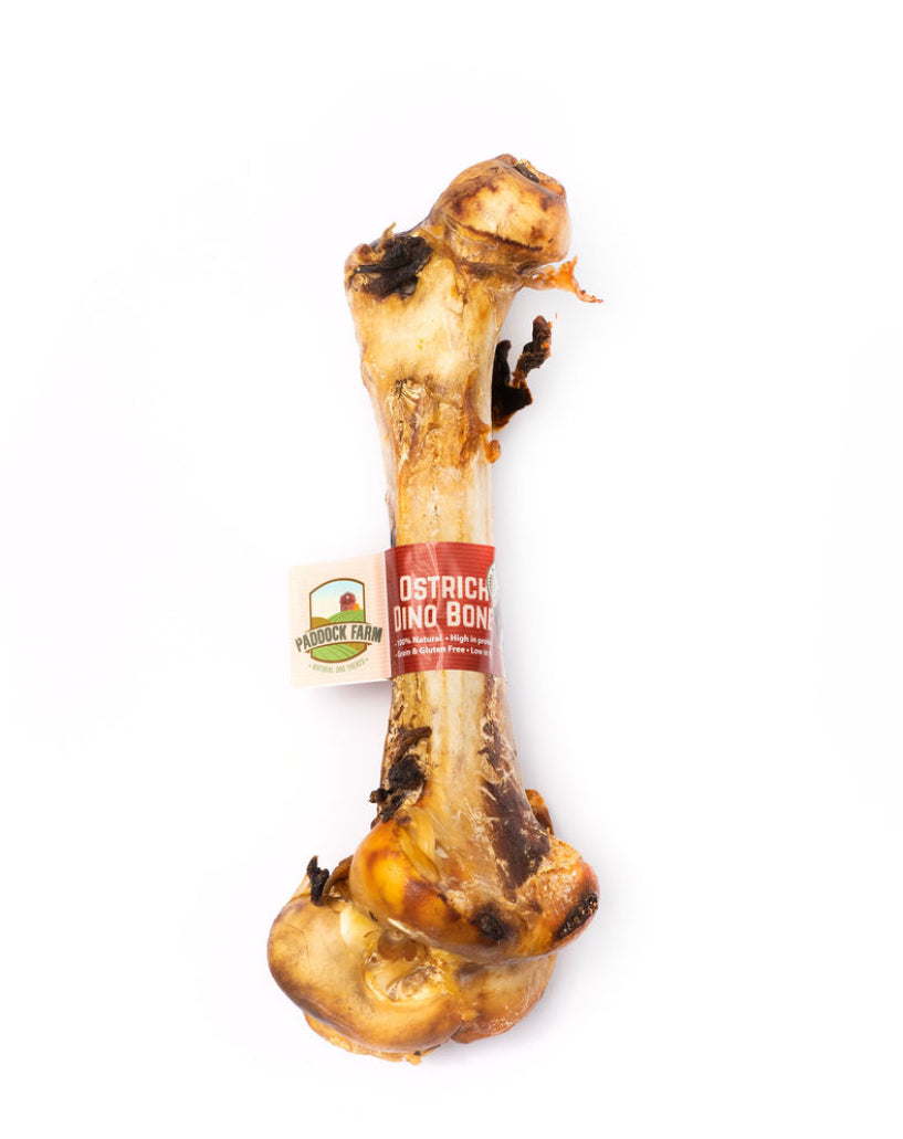 Ostrich Bone x 1