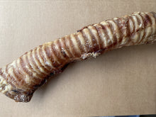 Load image into Gallery viewer, Large Buffalo Trachea x 1
