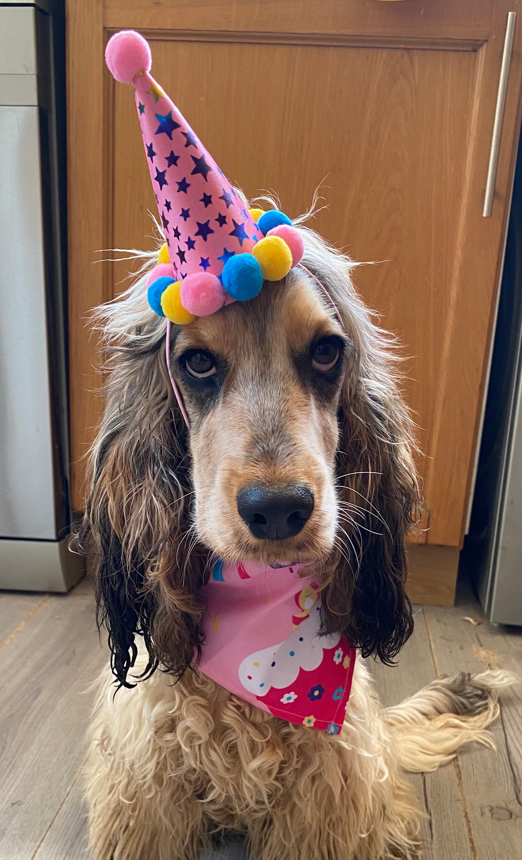 Birthday Hat & Bandana