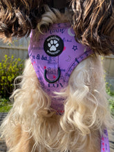 Load image into Gallery viewer, Love You to the Moon &amp; Back Harness (purple)

